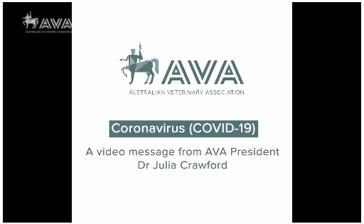 Companion Animals and COVID-19